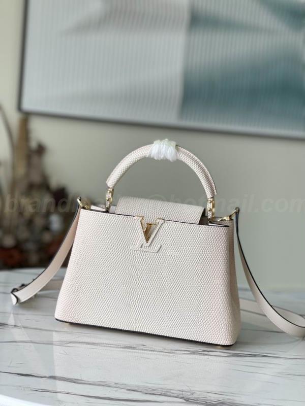 LV Handbags 5